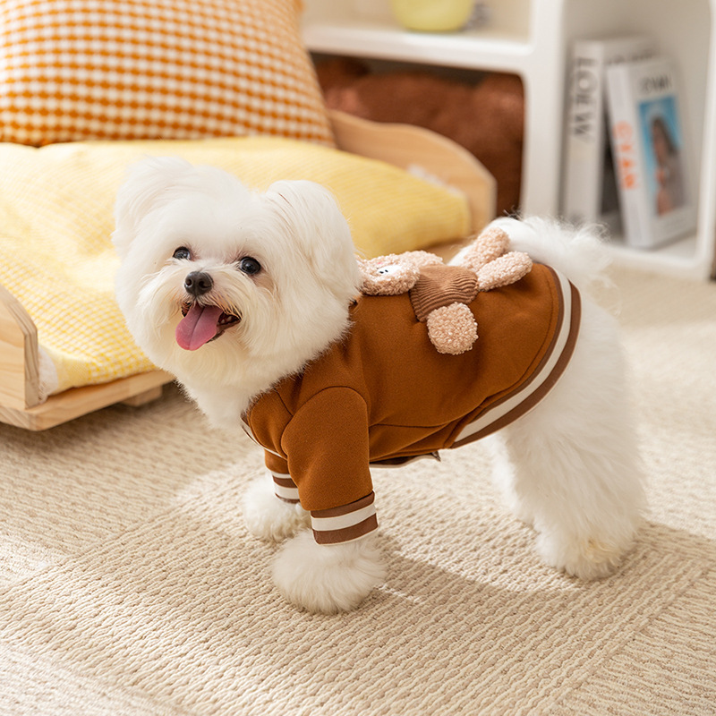 Pull chaud en laine pour chien - vêtement d'hiver – Image 4